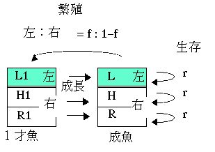 ºݤδ¬ǡȥǥΥߥ졼̤
